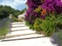 Escalier en pierres